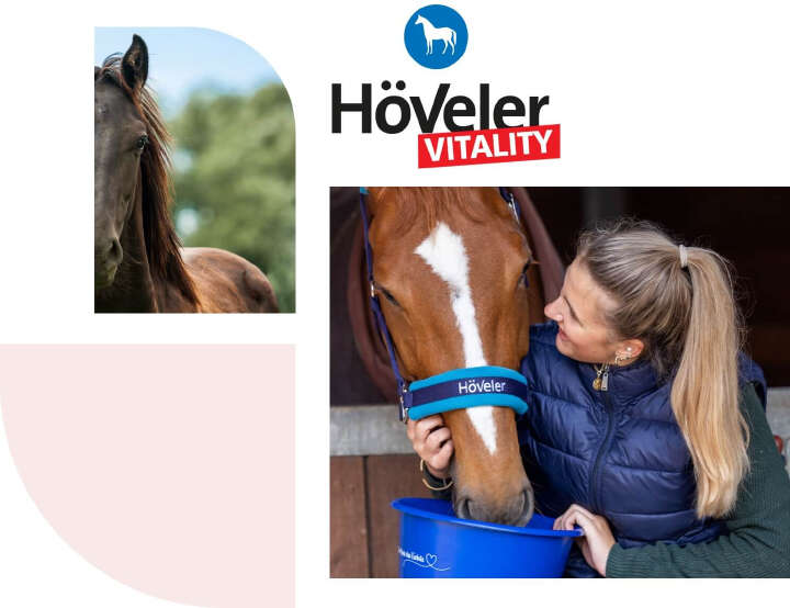 hoeveler vitality pferdefutter kategorie bild hoeveler vitality pferdefutter kategorie bild